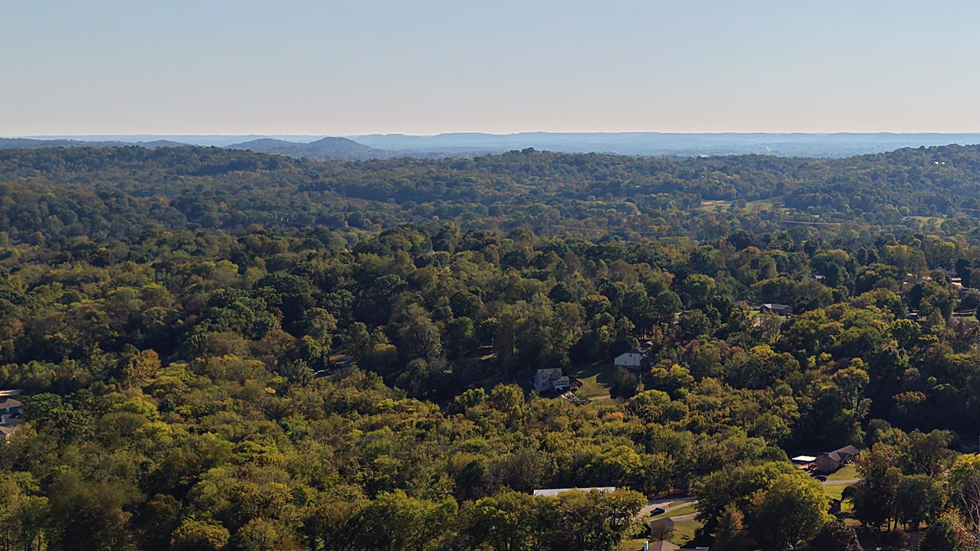 Aerial view of layered forest canopy rolling to the ridges in Maury County, Tennessee.