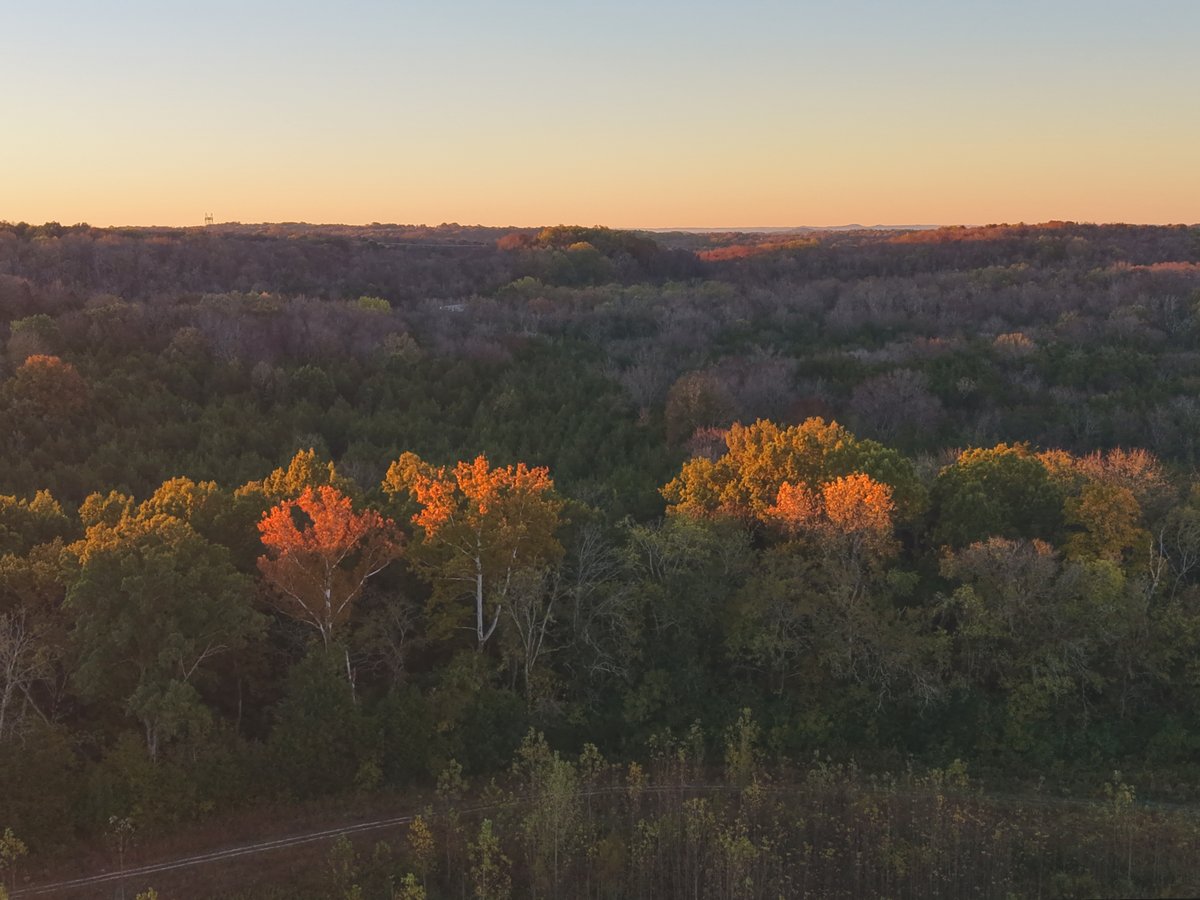 Aerial view of layered tree lines at sunrise, with the first light turning the tops of the fall trees orange under a pale dawn sky.