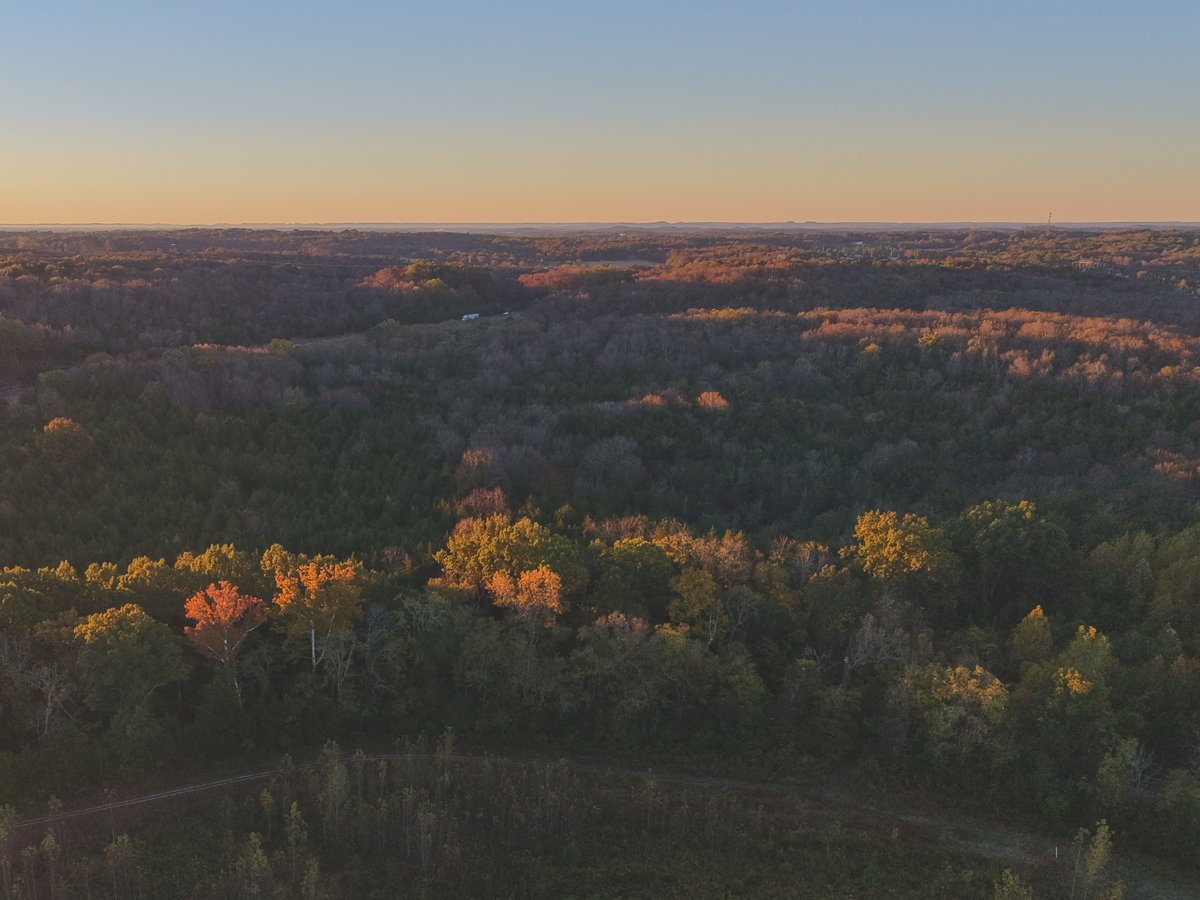 Aerial view of rolling wooded ridges at sunrise, with warm light on scattered treetops fading toward a hazy horizon.