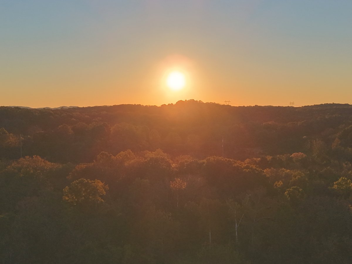 Aerial view of the sun rising just above a wooded tree line, casting a warm glow across the treetops.